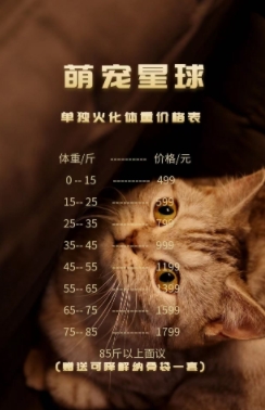 微信截图_20250421113357.png